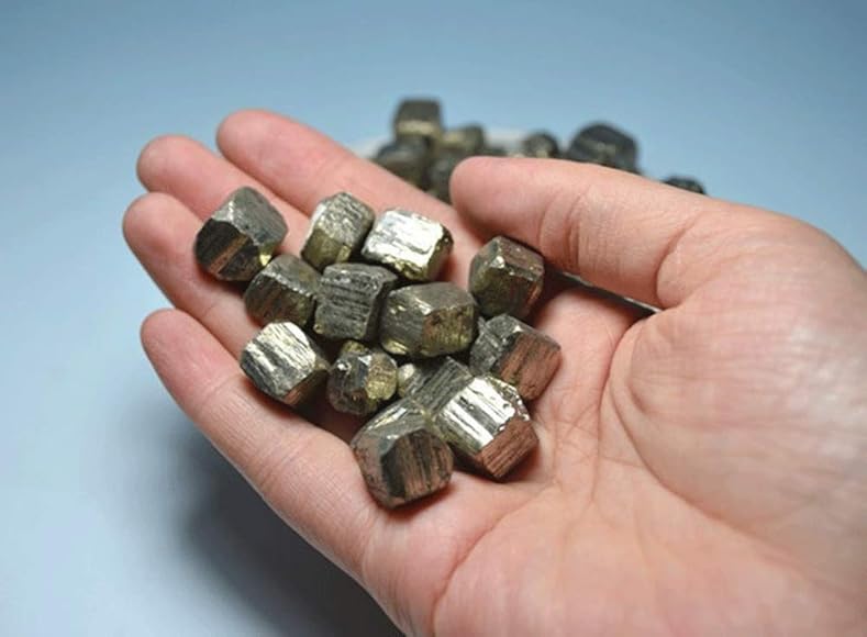 Amazon | 黄鉄鉱 Pyrite パイライト原石 天然原石 鉱物 教学道具 鉱物 