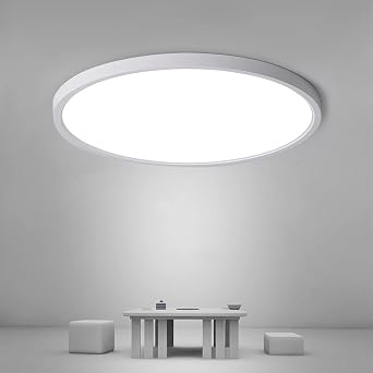 Osairous LED Flush Mount Ceiling Light 24W, 11.81"x0.98" Ultra Thin Lighting Fixture, 2160 LM Flat Round Ceiling Lamp, 6500K Cool White Light Lamps for Living Room, Bedroom, Hallway [Energy Class E]