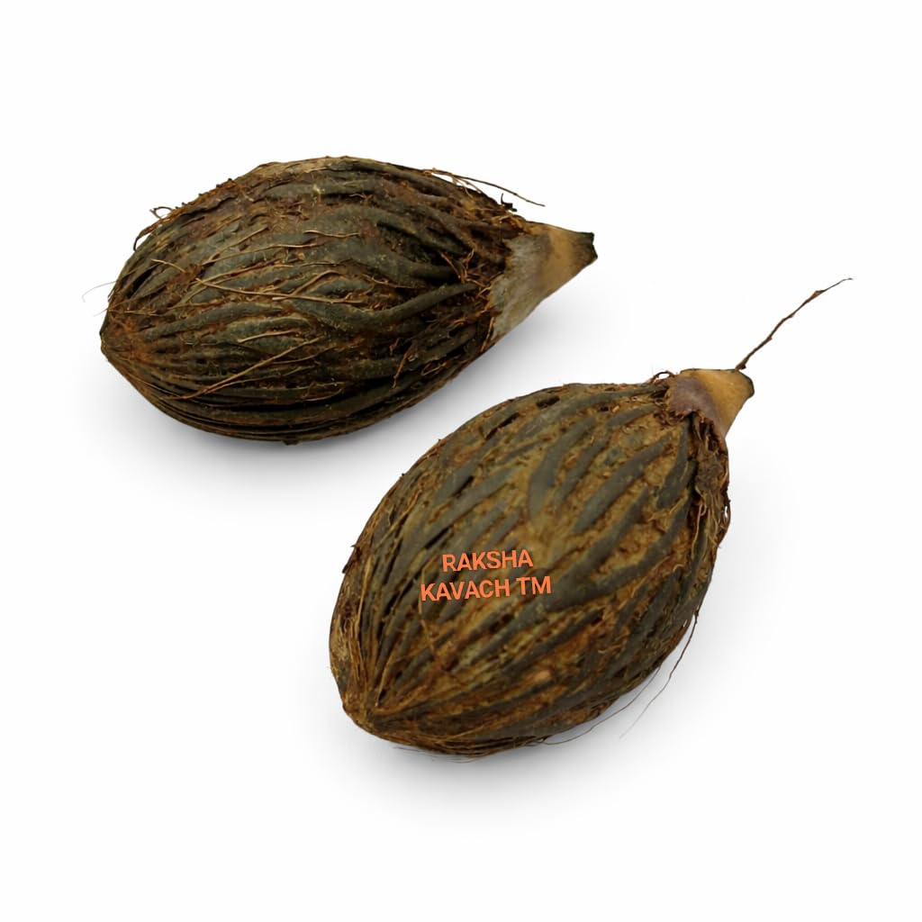 Original Kala Samudri Laghu Telugu Nariyal | Rare Black Coconut srifal for Tantra sadhna Pooja havan Vashikaran Protection Negative Energy Removal -2pcs-image-40
