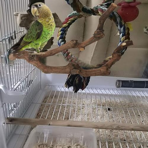 Image of kathson Natural Parrot Perch Bird Stand Pole Wild Grape Stick Paw Grinding Fork Parakeet Climbing Standing Branches Toy Chewable Cage Accessories for Small Budgies Cockatiels Lovebirds