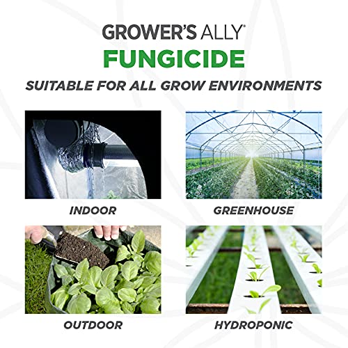 Buy Grower's Ally Fungicide for Plants Plant Fungicide Treatment