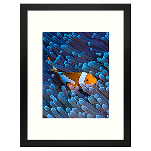 Frametory 12X16 Picture Frame, Displays Picture 8.5X11 With Mat Or 12X16 Without Mat, For Poster Print Diamond Painting Wall Frame - Wide Molding (12X16, Black) #TOP2