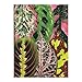 Houseplant Jungle Greeting Assortment Notecards