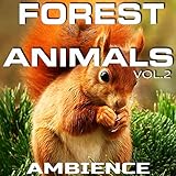 Photo Gallery forest animals nature sounds (animal planet soundscapes remix)