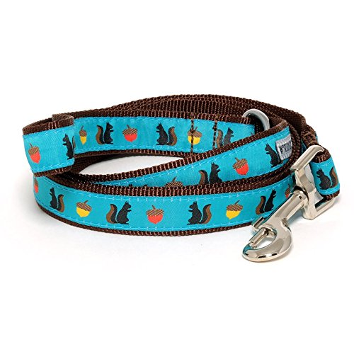 The Worthy Dog Squirrelly Squirrel Leash for Dog Made of Nylon Leashes for Walking Dogs with Solid Nickel-Plated D-Ring, Blue Size- Small