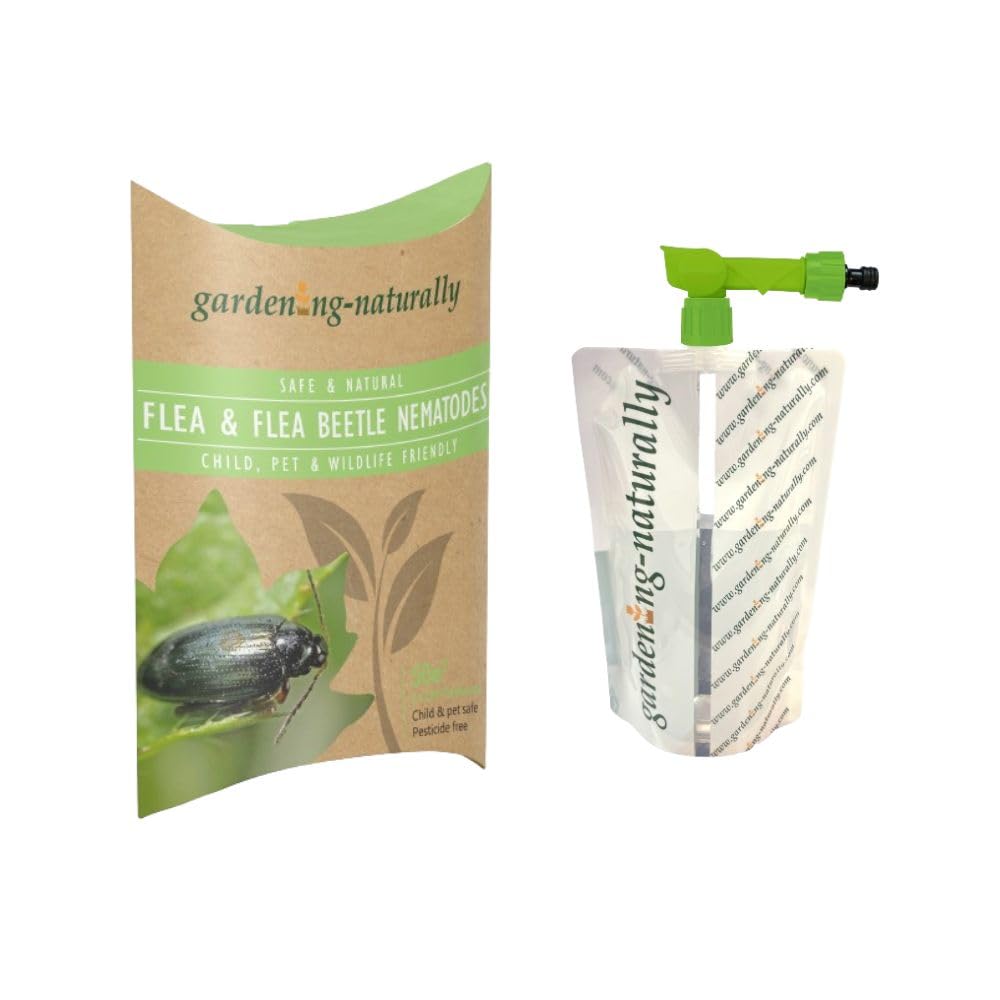Flea and Flea Beetle Nematodes 30sqm x 2 Treatments (2 x sachets) Gardening Naturally with Bag Applicator