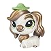 Littlest Pet Shop Mossy Courtley