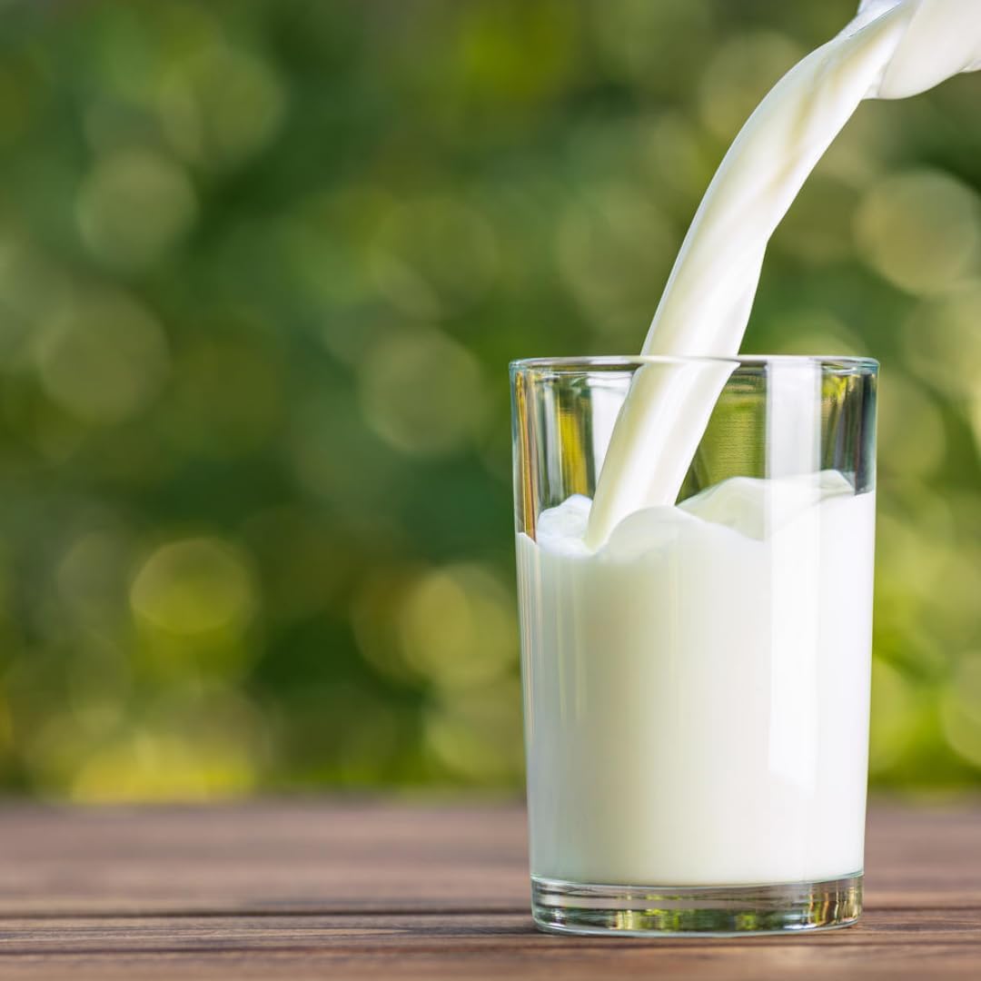 Milch haltbare fettarme H-Milch 1,5% Fett, je 1 Liter, 60 Stück mit Pufai Grocery