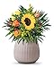 Flora Trans Blumenstrauss - Blumenversand 1-2 WERKTAGE - mit Grußkarte - Frischblumen vom Floristen - Blumen bester Qualität - Blumengeschenk Lebenslust