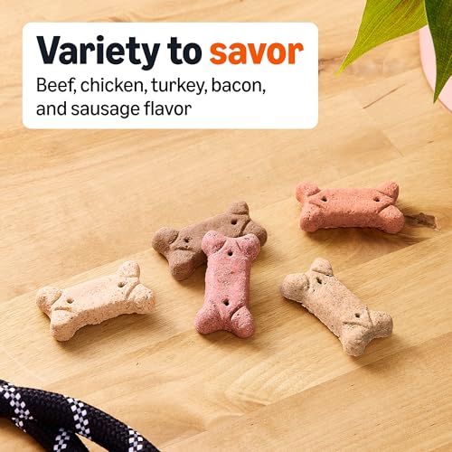 Image of Amazon Basics Crunchy Dog Biscuits Multi Flavor Dog Treats 5 lb. Box