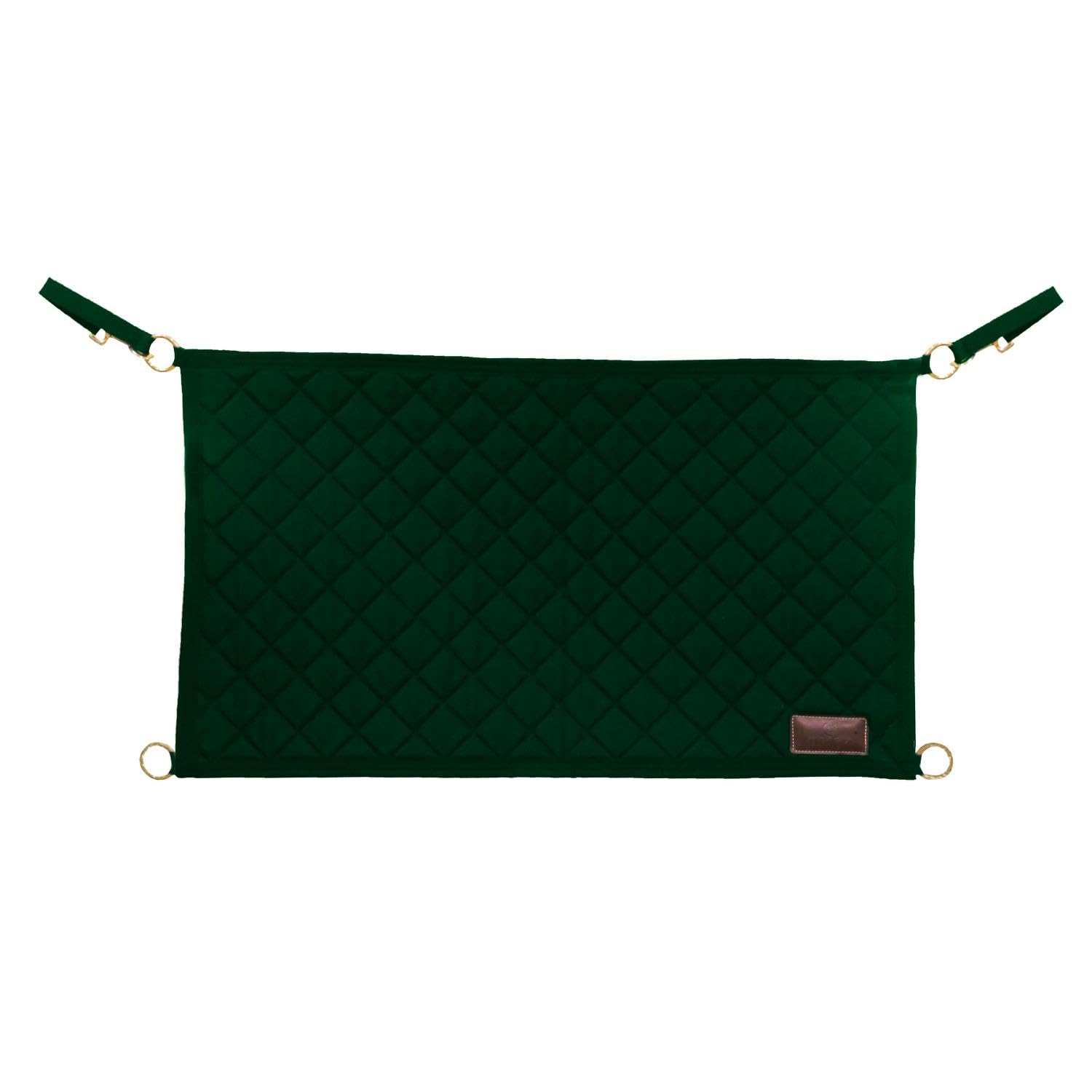 Devant de porte vert foncé lavable | Tapis de sol absorbant et grattant extérieur
