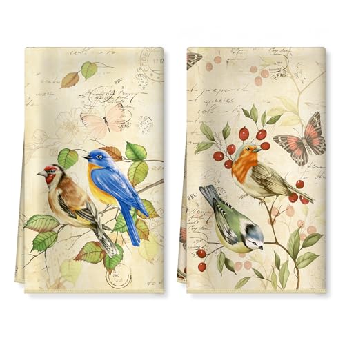Arquiel 2 Piezas Paños de Cocina Rama de Pájaro Toallas de Microfibra Suaves y Absorbentes Toallas de té y Toallas de Barra Decoración de Cocina Limpieza, 40 x 60 CM