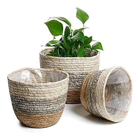 squarex Plant Basket, Woven Plant Basket Indoor Pot Basket, 3 Size Choose Seagrass Planter Basket for Home Outdoor Plants, Artificial Plant, Picnic, Storage Decor Cover