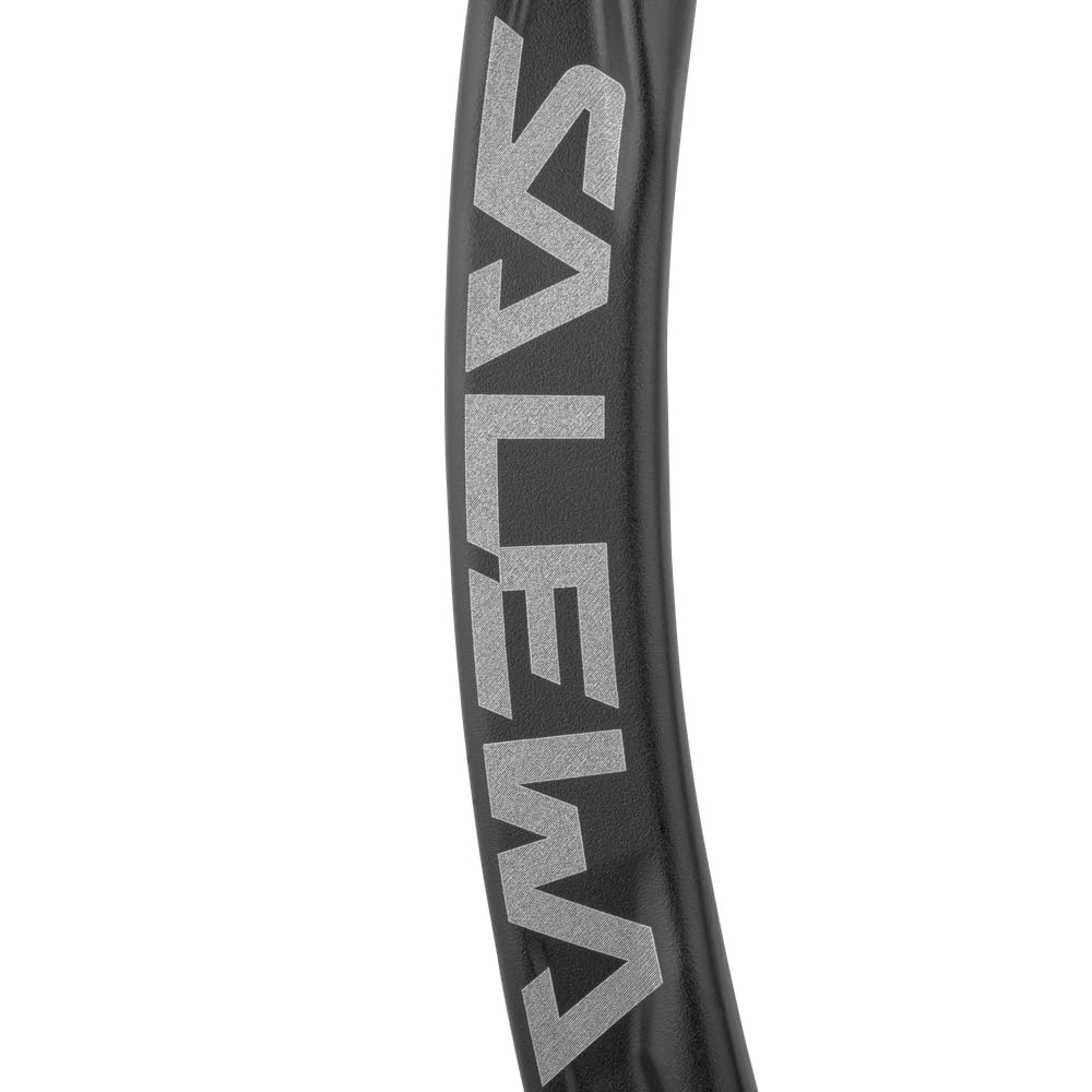 Salewa Ortles Carabiner