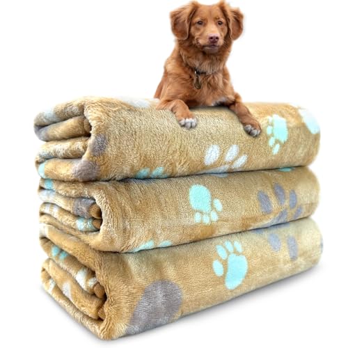 Dog Blankets for Medium Large Dogs Washable, 3 Pack Pet Blanket Washable 41" x 31", Fuzzy Soft Puppy Throw Cover for Kennel Crate Bed