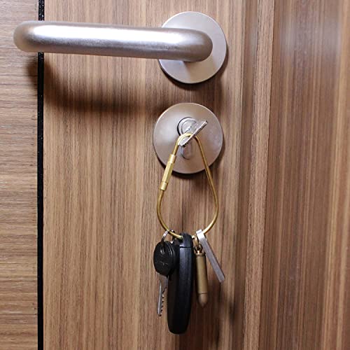 Ppfish Durable Brass Screw Lock Clip Key Chain Ring, Simple Style Car Keychain For Men Women (2Pcs) #TOP4