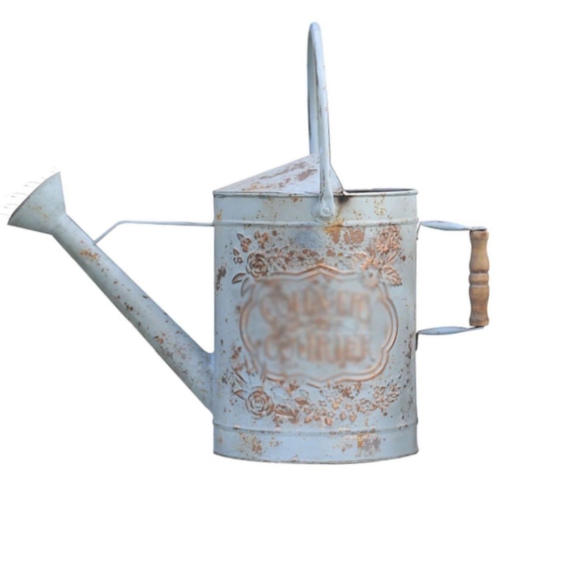 Gießkannen 7,5 l Retro-Gießkanne aus Metall, Sprinkler im Landhausstil mit Sprühdüse for schnelles und einfaches Pflanzen, Bewässerung 253,6 oz