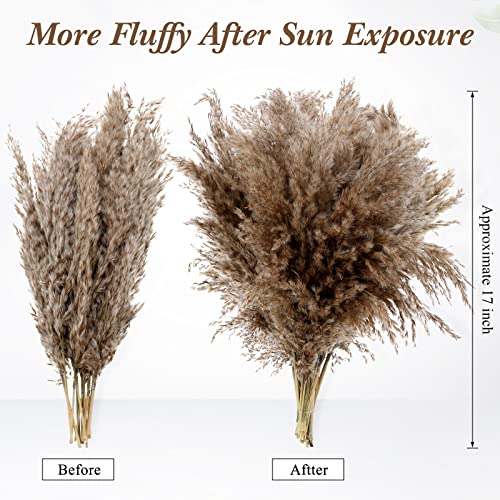Janinka 100 Pcs Dried Pampas Grass Decor 17 Inch Bulk Natural Small Pompous Wild Fluffy Pompas Floral Boho Decor Flowers for Wedding Party Farmhouse Home Decor Bathroom Office Kitchen (Brown)