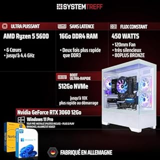 SYSTEMTREFF PC Gamer AMD Ryzen 5 5600 6x4.4GHz | Nvidia RTX 5060 8Go DX12 | 512Go M.2 NVMe | 16Go DDR4 RAM | Windows 11 | Ordinateur de Bureau WLAN pour Les Joueurs, Les Gamers & Streamer