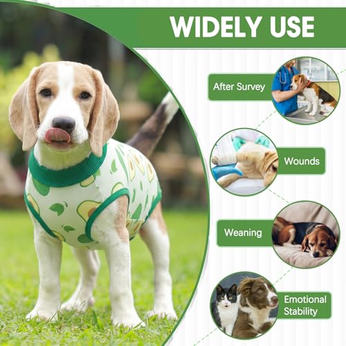 Image of BRKURLEG Small Dog Recovery Suit After Surgery Female Male, Back Zipper Spay Recovery Suit for Dogs & Cats, Anti-Licking Puppy Surgical Onesie for Abdominal Wound, Cone Alternative, Green S