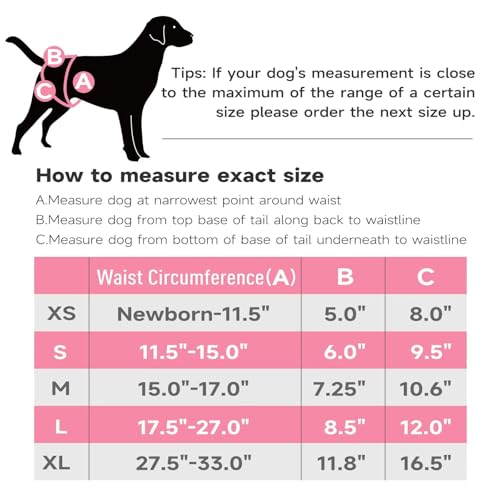 Image of Paw Legend Washable Reusable Female Dog Period Diapers for Heat Doggie Puppy Diapers for Female Dogs (3 Pack,X-Small)