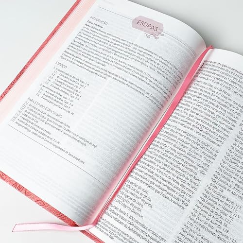 Kit Bíblia de Estudos da Mulher NVT Rosa Flores + Caderno Anotações Borboleta