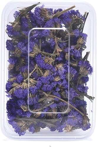 1 caja de flores secas para decoración y manualidades miniatura 4