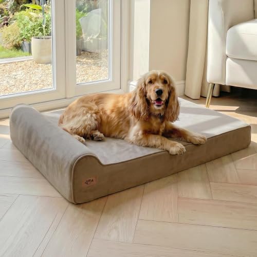Image of Sytopia Orthopedic Dog Beds for Large Dogs - 7 inch Extra Thick Memory Foam Pet Couch for Senior Dogs and Great Danes with Waterproof Liner & Washable Cover, Nonskid Bottom, 46 inchx28 inchx7 inch, Brown