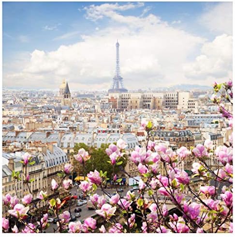 Mosaic Puzzles - Wooden Jigsaw Puzzle – Paris - 200 Unique Pieces - Made in the USA