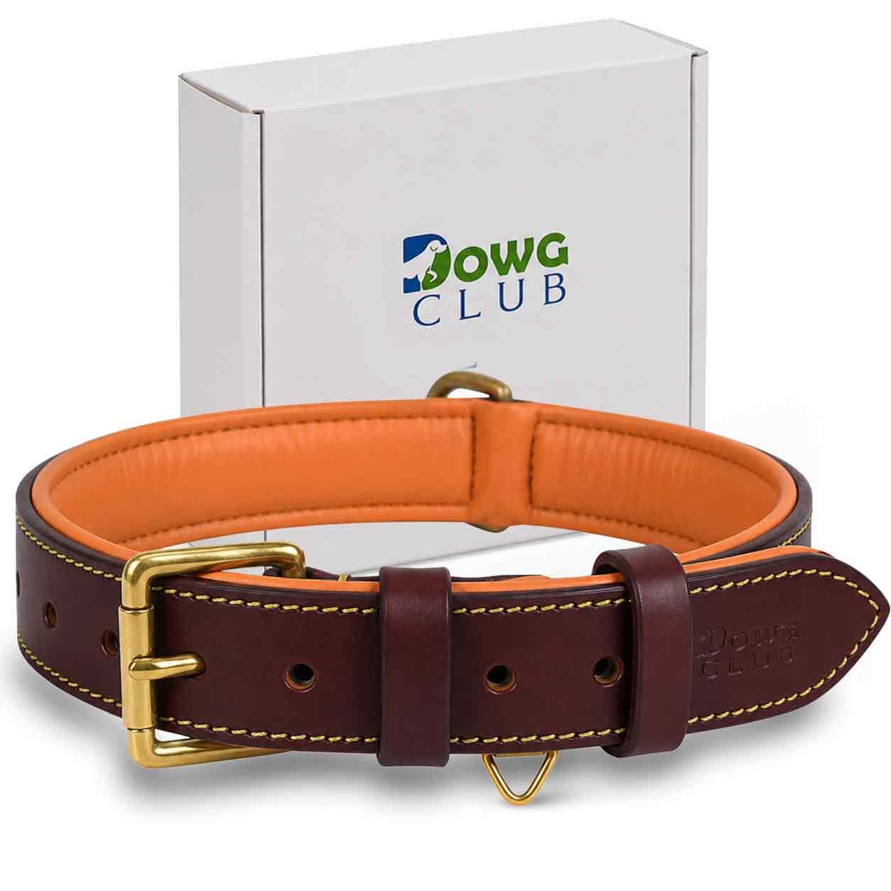 DowgClub Genuine Leather Dog Collar, Brown, Small, Soft Leather Padding