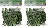 Fluker's Repta Vines-English Ivy for Reptiles and Amphibians (Тwo Рack)