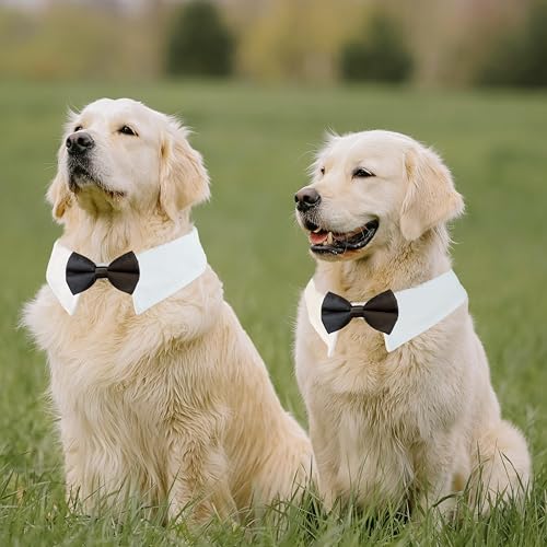 Image of Dog Bowtie, KOOLMOX Dog Bow Tie Collar Handcrafted Adjustable Formal Pet Black Bowtie Neck Bow for Dogs Medium to Large Boy Dogs Tuxedo Collar Pet Wedding Birthday Gift