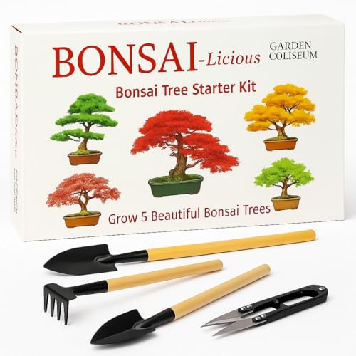 Bonsai Tree Kit - Grow Your Own Bonsai Tree Kit. Sustainable ECO Gardening Gift +Tool Set. Seed Germination Starter Kit with 6 Seed Species to Grow. Unique Gift Idea for men & women. Beginner friendly