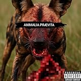 Giraffa Camelopardalis