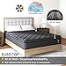 VISCOUNTESS Queen Mattress, Hybrid Mattresses 10 Inch Euro Top Medium Firm for Back & Lumbar Support, 100 Night Trial, Individual Pocket Spring Bed for Motion Isolation & Pressure Relief Black