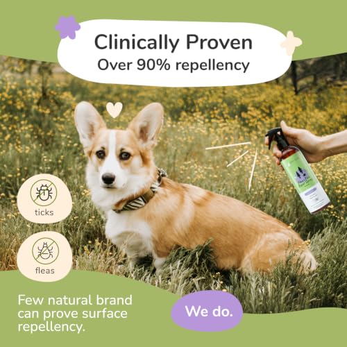 Image of kin+kind Natural Flea and Tick Prevention for Dogs - Non-Greasy Coat Spray, Vet-Formulated, Lavender, 12 fl oz