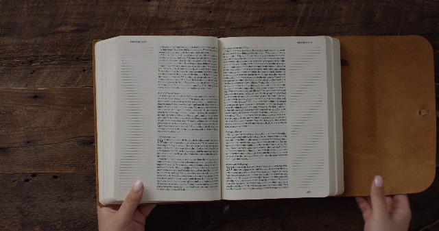 Image of ESV Single Column Journaling Bible, Large Print (Brown, Flap with Strap)