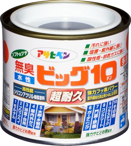 ATqy h yL rbO10pr 1/5L 245X[gO[  pr c \tgȃc 1h ϋv L tbfz hJr Trhܔz O򉻖h~ܔz VbNnEX΍i {