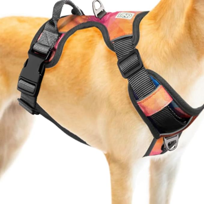 Embark Urban Dog Harness, No Pull Dog Harness with 2 Leash Clips, Dog