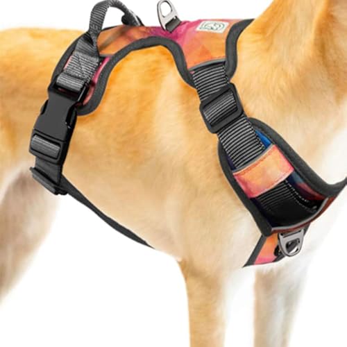 Embark Urban Dog Harness, No Pull Dog Harness With 2 Leash Clips, Dog Harness For Medium Dogs No Pull. Front & Back With Control Handle, Adjustable Black Dog Vest, Soft & Padded For Comfort #TOP6
