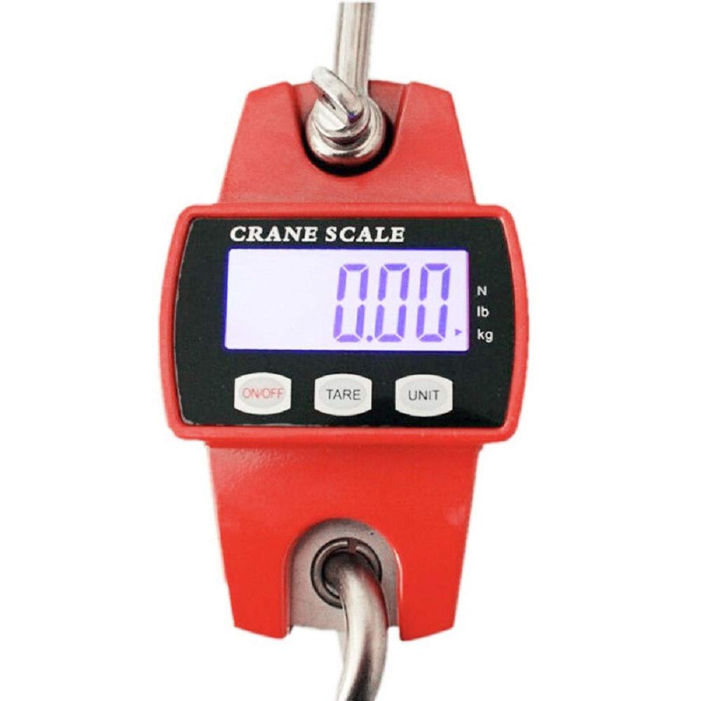 Dynamomètre professionnel numérique 300KG/100g avec affichage LCD