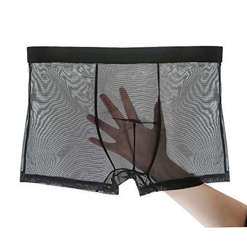 Evankin Men's Sexy Mesh Boxer Briefs Transparent Lingerie Black Mesh Transparent Bulge Pouch Valentines Underwear(45Black,XXXL)