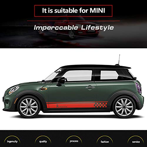 DSYCAR 1Pair Car Side Door Skirt Sticker