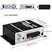 Lepy LP-2024A-HA LP-2024A+ Hi-Fi Audio Stereo Power Amplifier Car Amplifier, 3A Power Supply