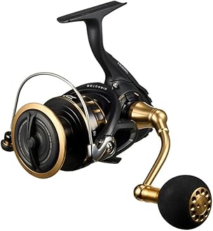 DAIWA Spinning Reel 23BG SW 4000-18000 Various (2023 Model)