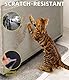 Zaxiva Kratzschutz Sofa Katze, 8m x 43cm Kratzfolie Katzen Selbstklebend, Transparente Anti Kratz Folie für Katzen, Kratzschutz für Hundetüren, Sofaschutz Katze, kratzschutz Wand und Tür