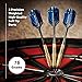 Fat Cat Deluxe Soft Tip Darts with Storage/Travel Case, 16 Grams , Black