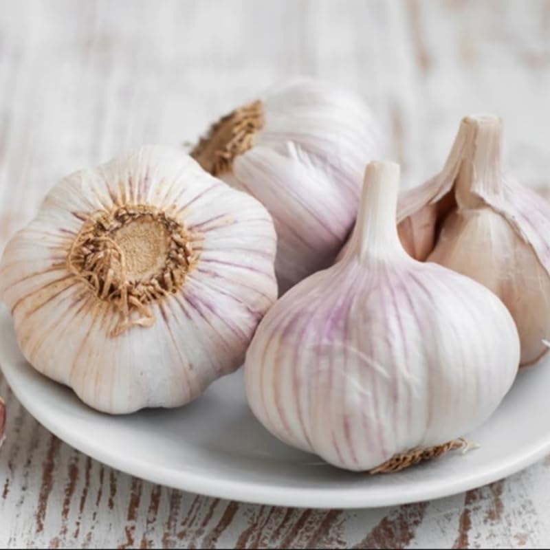1 Pound Mix Garlic Bulbs for Planting, 1 Pound, Hard Neck Garlic Bulbs for Planting