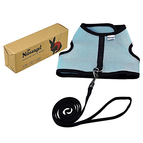 Image of Niteangel Adjustable Soft Harness with Elastic Leash for Rabbits (L, Blue)
