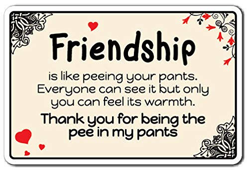 Kueprae A3 Friendship Is Like Peeing Metal Sign Friendship Love Wall Decor 8X12 Inch